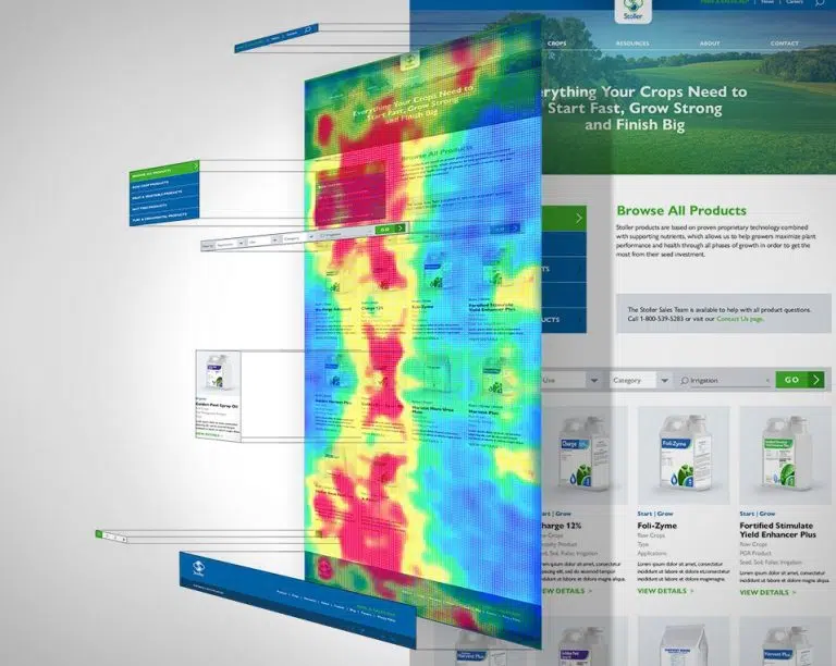 Stoller website heatmap