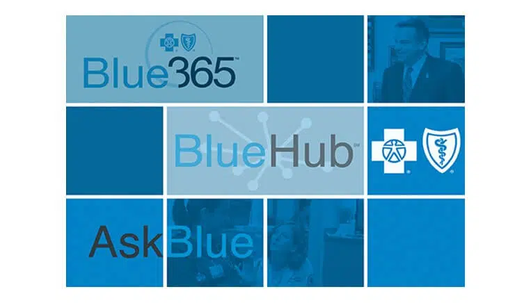Blue Hub, Blue 365, Ask Blue