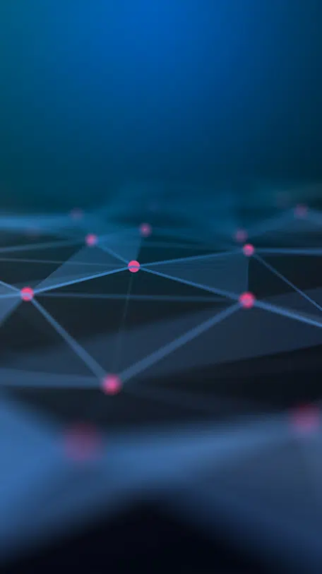 Open Source Integrators Case Study, Marketing network